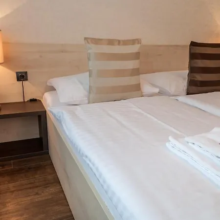 U Kasny ホテル Rajhrad